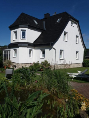 Haus Elsholz Usseln FeWo Birke